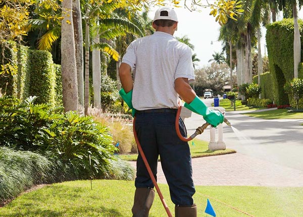 About Cumberland Gap TN Pest Control Pros